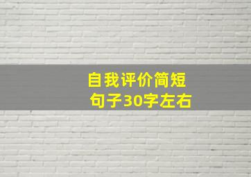 自我评价简短句子30字左右