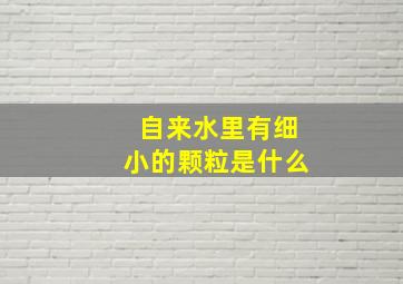 自来水里有细小的颗粒是什么