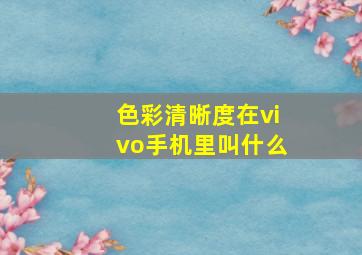 色彩清晰度在vivo手机里叫什么