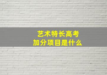 艺术特长高考加分项目是什么