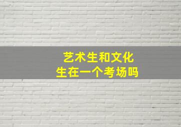 艺术生和文化生在一个考场吗