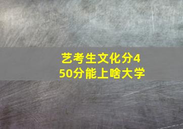 艺考生文化分450分能上啥大学