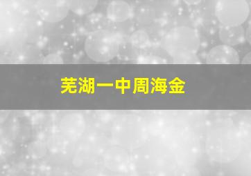 芜湖一中周海金