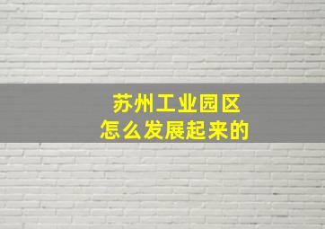 苏州工业园区怎么发展起来的