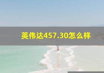 英伟达457.30怎么样