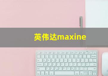 英伟达maxine