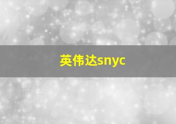 英伟达snyc