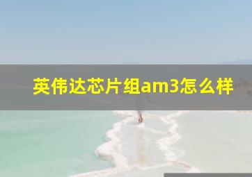 英伟达芯片组am3怎么样