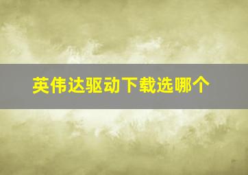 英伟达驱动下载选哪个