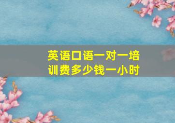 英语口语一对一培训费多少钱一小时