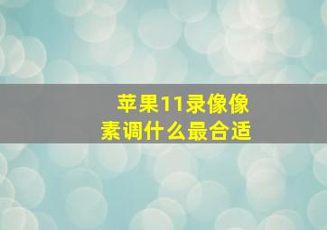 苹果11录像像素调什么最合适