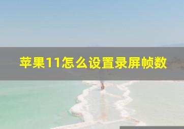 苹果11怎么设置录屏帧数