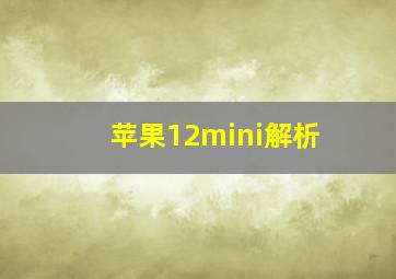 苹果12mini解析