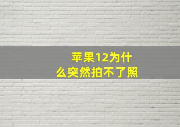 苹果12为什么突然拍不了照