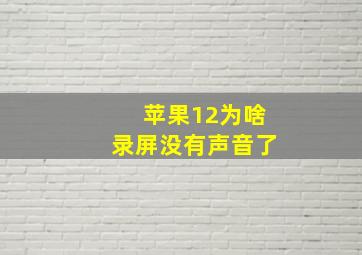 苹果12为啥录屏没有声音了