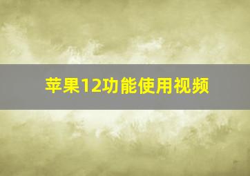 苹果12功能使用视频