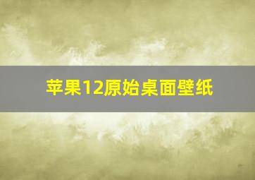 苹果12原始桌面壁纸