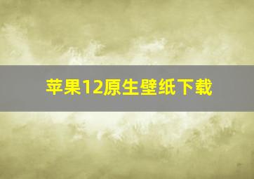 苹果12原生壁纸下载