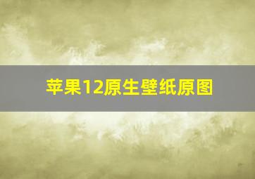 苹果12原生壁纸原图