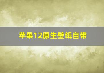 苹果12原生壁纸自带