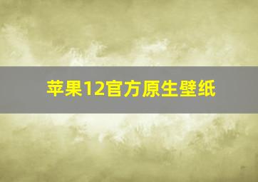 苹果12官方原生壁纸