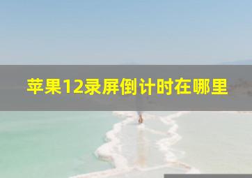 苹果12录屏倒计时在哪里