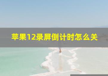 苹果12录屏倒计时怎么关