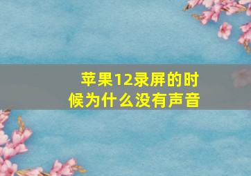 苹果12录屏的时候为什么没有声音