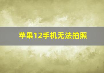 苹果12手机无法拍照