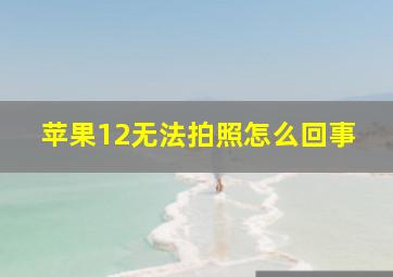 苹果12无法拍照怎么回事