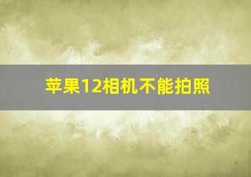 苹果12相机不能拍照