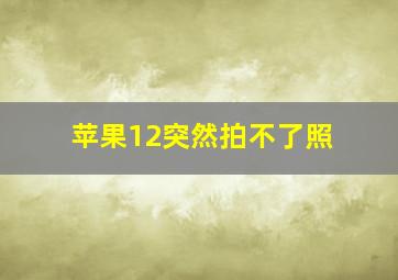 苹果12突然拍不了照