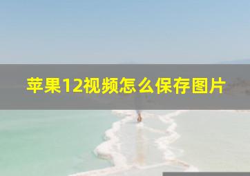 苹果12视频怎么保存图片