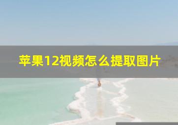 苹果12视频怎么提取图片