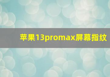 苹果13promax屏幕指纹