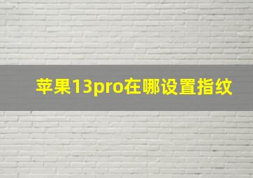 苹果13pro在哪设置指纹