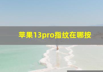 苹果13pro指纹在哪按