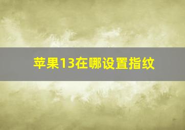 苹果13在哪设置指纹