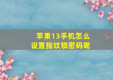 苹果13手机怎么设置指纹锁密码呢