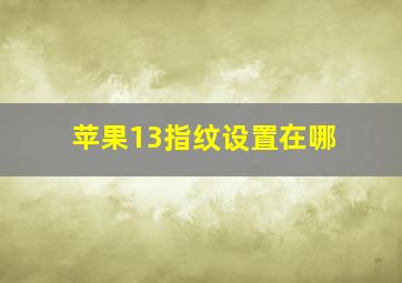 苹果13指纹设置在哪