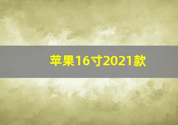 苹果16寸2021款