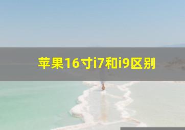 苹果16寸i7和i9区别