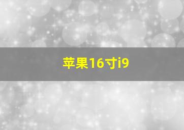 苹果16寸i9