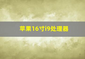 苹果16寸i9处理器