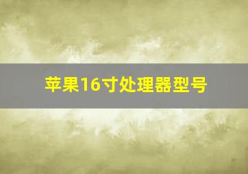 苹果16寸处理器型号