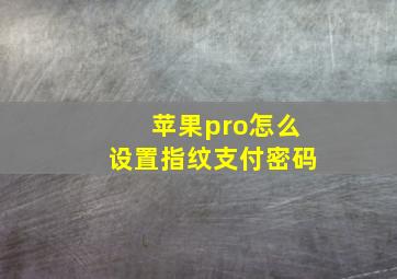 苹果pro怎么设置指纹支付密码