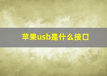 苹果usb是什么接口