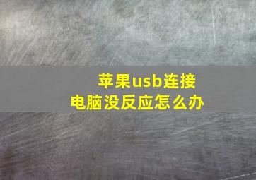 苹果usb连接电脑没反应怎么办