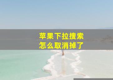 苹果下拉搜索怎么取消掉了