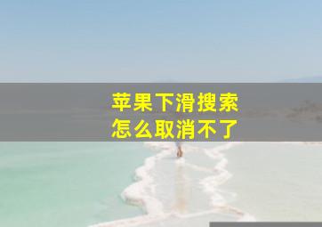 苹果下滑搜索怎么取消不了